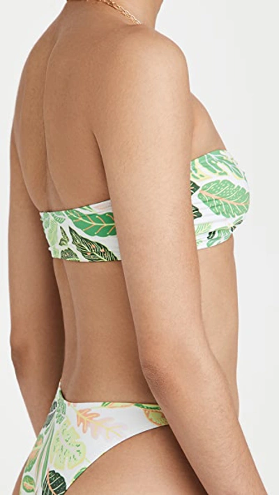 Solid & Striped Tati Printed Bikini Bottom In Green