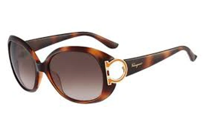 Ferragamo Brown Gradient Oval Ladies Sunglasses Sf668s 238 57 In Dark Tortoise