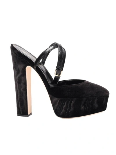 Sergio Rossi Pumps Shoes Women  In Black