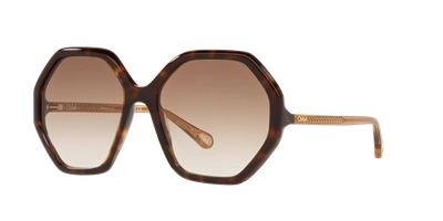 Chloé Chloe Ch0008s In Brown Gradient