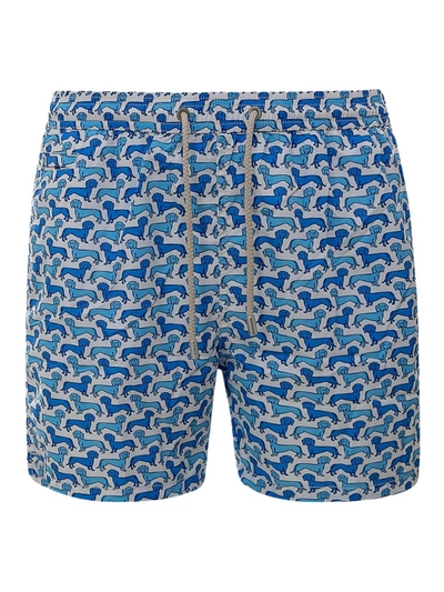 Mc2 Saint Barth Dachshund Print Swim Shorts In White And Blue