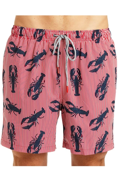 Rainforest Rock Lobster Stretch Swim Trunks In Ribbon Red | ModeSens