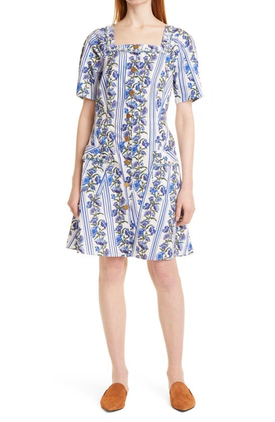 Dyvna Floral Button-up A-line Dress In Blue Striped Flowers