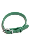 Wild One All-weather Dog Collar In Green