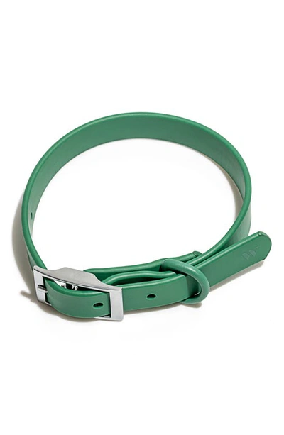 Wild One All-weather Dog Collar In Green