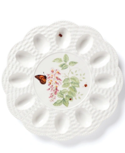 Lenox Butterfly Meadow Egg Tray In Multi And White