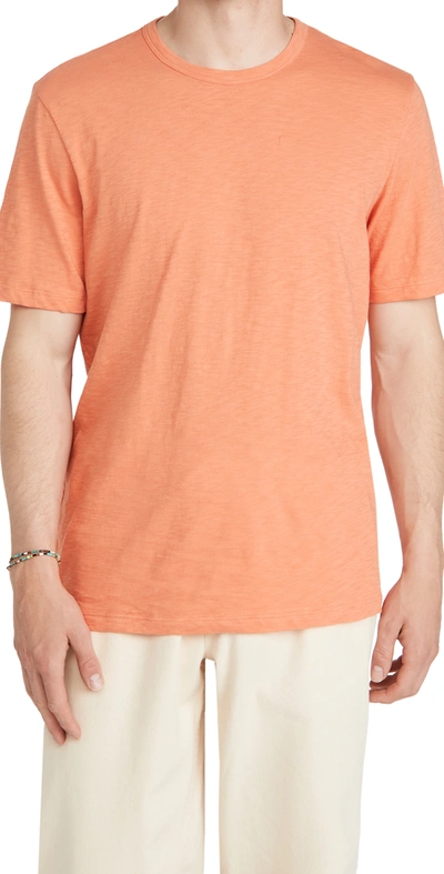 Theory Essential Short-sleeve Cotton T-shirt In Vivid Coral