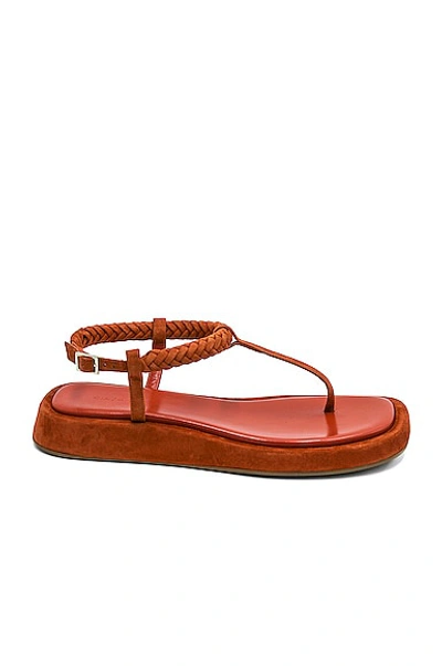 Gia/rhw Braided Suede Thong Slingback Sandals In Burnt Orange