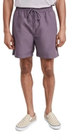 Carhartt Chase Swim Trunks In Provence / Gold