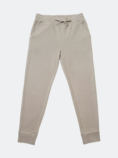 Paper Project All Day Clean Sweatpant In Grey