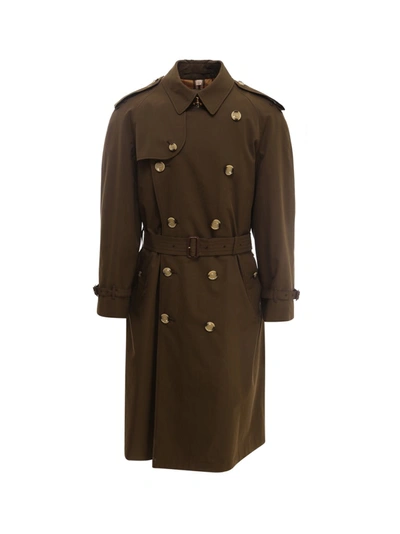 Burberry Cotton Trench In Green