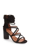 Jeffrey Campbell 'despina' Strappy Sandal In Black Suede
