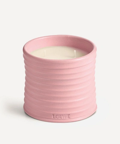 Loewe Medium Ivy Candle 610g In Pink