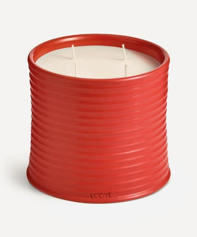 Loewe Large Tomato Leaves Candle 2120g