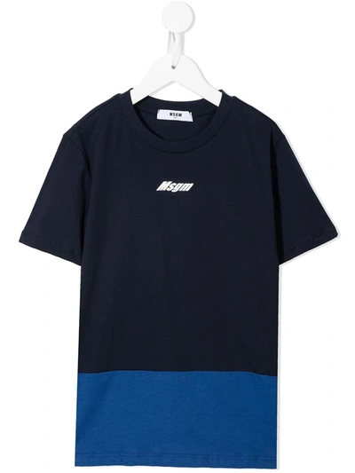 Msgm Logo-print Cotton T-shirt In 蓝色