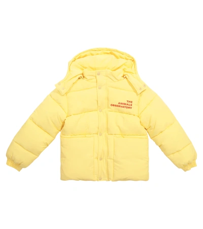 The Animals Observatory Kids' Lemur Cotton-blend Puffer Jacket In Yellow