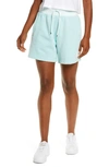 Jordan Flight Fleece Shorts In Light Dew/ Barely Green