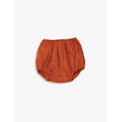 Caramel Babies' Grouper Spotted Cotton Bloomers 3-24 Months In Rust Dot