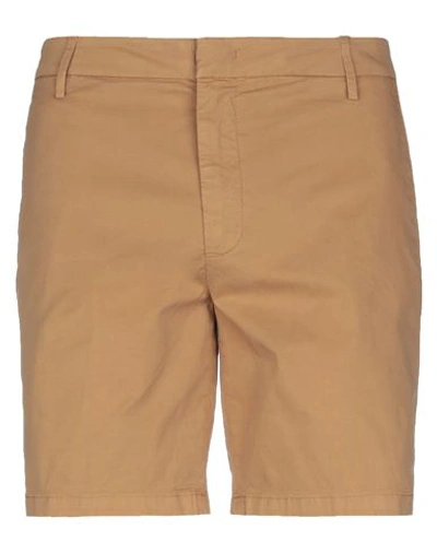 Dondup Shorts In Camel