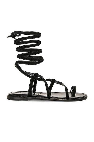 Manolo Blahnik Primathi Lace-up Suede Sandals In Black