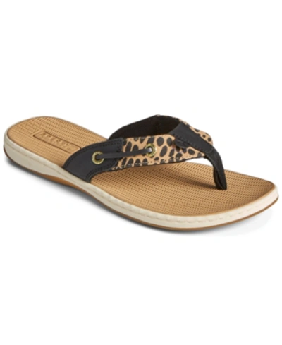Sperry Women's Seafish Thong Sandals Women's Shoes In Black Multi