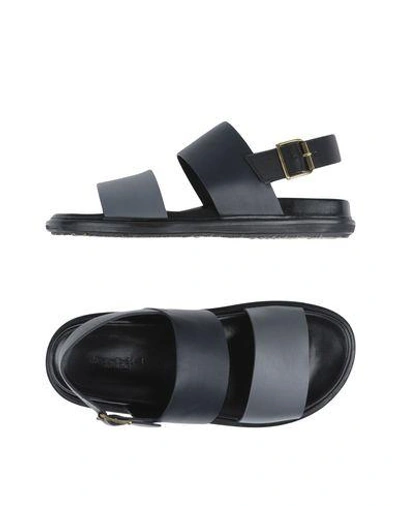 Marni Sandals In Lead