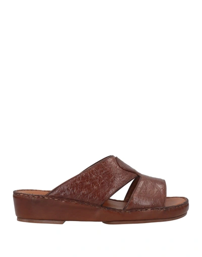 Pakerson Sandals In Maroon