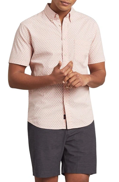 Faherty Playa Regular Fit Print Short Sleeve Button-down Shirt In Rose Fish Scale