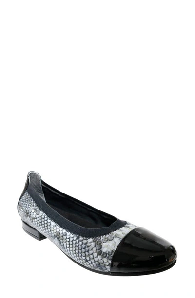 David Tate Nicole Cap Toe Flat In Black Snake