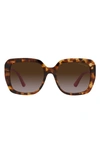 Michael Kors 55mm Square Sunglasses In Tort