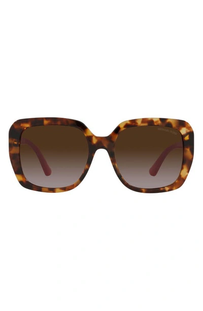 Michael Kors 55mm Square Sunglasses In Tort