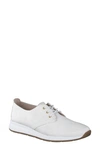 Paul Green Women's Isabella Lace Up Oxfords In Off White Nappa