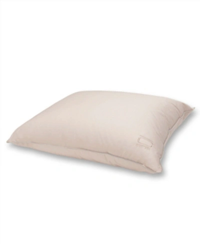 Nikki Chu 250 Thread Count 100% Cotton White Down Pillow, Standard In Soft Clay