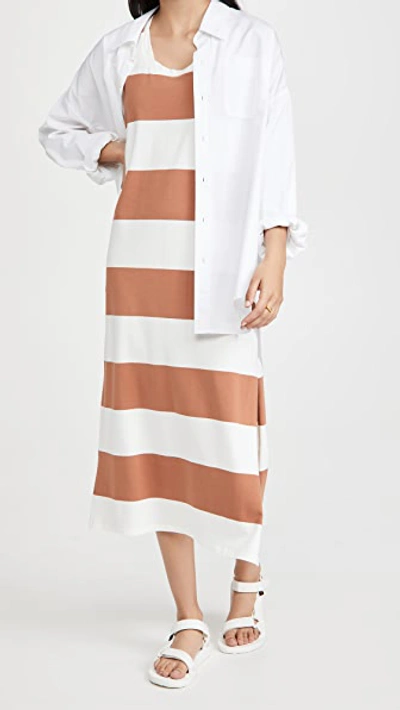 Z Supply Lida Stripe Dress In Vintage Brown/white