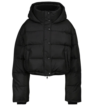 Wardrobe.nyc Wardrobe. Nyc Womens Matte Black Padded Cotton-blend Puffer Jacket L