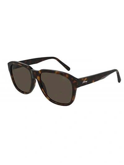 Brioni Br0088s - Atterley In Havana Havana Brown