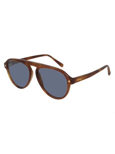 Brioni Br0085s Sunglasses In Havana Havana Blue