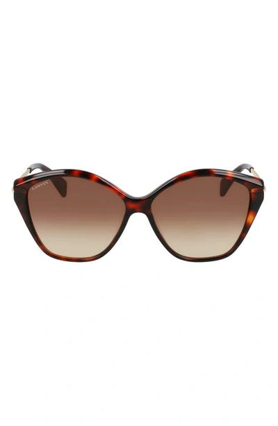 Lanvin Babe 59mm Gradient Cat Eye Sunglasses In Havana Red