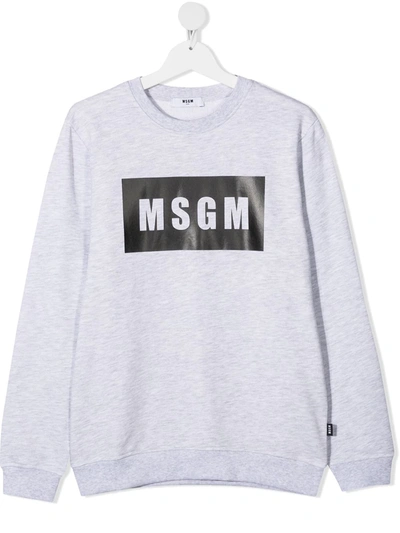 Msgm Teen Logo-print Cotton Sweatshirt In Grey