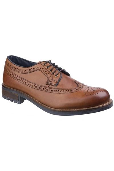 Cotswold Mens Poplar Brogue Leather Dress Shoes In Brown