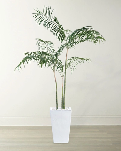 John-richard Collection White Palms Decorative Plant