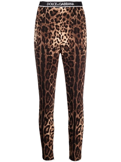 Dolce & Gabbana Leopard Print Silk Stretch Charmeuse Crop Leggings In Brown,black,white