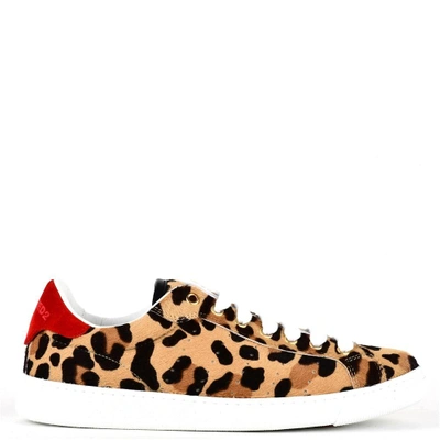Dsquared2 Dsquared Sneakers In Maculato