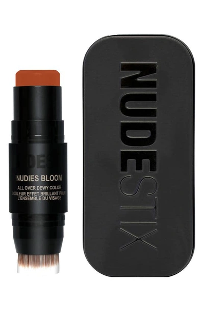 Nudestix Nudies Cream Blush All-over-face Color Rusty Rouge 0.25 oz/ 7.0 G