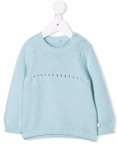 Stella Mccartney Light-blue Jumper For Baby Boy With Dog