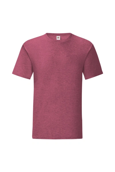 Fruit Of The Loom Mens Iconic T-shirt (pack Of 5) (heather Burgundy) In Purple