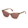 Max Mara 58mm Cat Eye Sunglasses In Light Brown/ Other / Brown