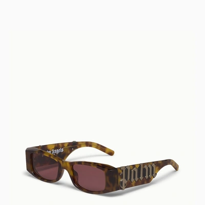 Palm Angels Tortoiseshell Brown Logoed Sunglasses