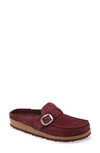 Birkenstock Buckley Clog In Maroon