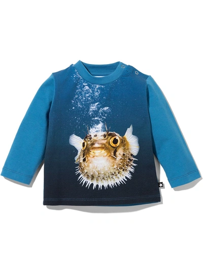 Molo Babies' Enovan Graphic-print T-shirt In Blue